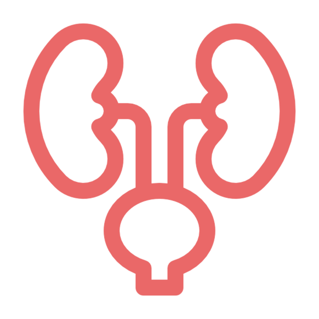 Urologie